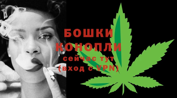 mdpv Богданович