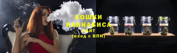 спиды Богородск