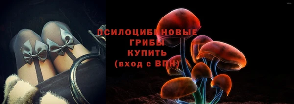 спиды Богородск