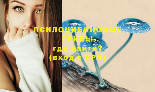 спиды Богородск