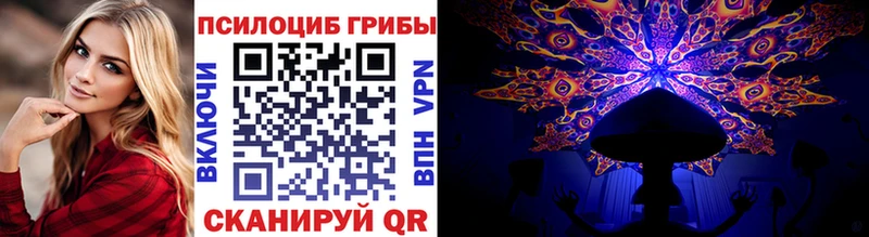 Псилоцибиновые грибы MAGIC MUSHROOMS  продажа наркотиков  Подпорожье 